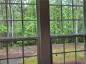 Scenic view of a lush green yard through large, sunlit windows at 2107 Hailston Dr, Duluth, GA 30097