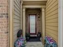 Inviting front entrance with a decorative door, sidelights, potted plants, and stylish exterior details at 3318 Sardis Bend Dr, Buford, GA 30519