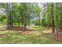 Lush front yard with mature trees around a home, blending nature and architecture at 218 Ward Rd, Ellenwood, GA 30294