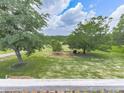 Expansive backyard featuring a well-maintained lawn and mature trees at 104 Cochran Ridge Rd, Dallas, GA 30157