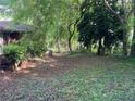 Large backyard surrounded by mature trees, offering a private outdoor space for relaxation and activities at 185 W Lake Nw Dr, Atlanta, GA 30314