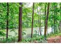 Scenic view of a tranquil lake surrounded by lush green trees, showcasing a serene and peaceful setting at 41 Basswood Cir, Sandy Springs, GA 30328