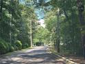 Street view of a quiet road lined with mature trees at 41 Basswood Cir, Sandy Springs, GA 30328