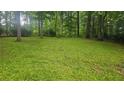 A spacious, grassy backyard is surrounded by tall, mature trees, providing a private setting at 2859 Wood Park Nw Trce, Kennesaw, GA 30152