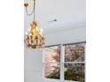 Close-up view of elegant chandelier hanging near a window overlooking the yard at 2910 Waverly Place Dr, Dacula, GA 30019
