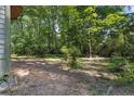 Lush backyard, perfect for gardening and outdoor activities, bordered by dense, mature trees at 3189 Glen Hollow Dr, Rex, GA 30273