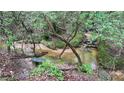 Serene backyard creek-side bench and the beauty of the natural surroundings at 7460 Highway 101 N, Rockmart, GA 30153