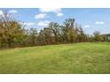 Large grassy back yard extends to a line of trees, offering ample space at 3530 Ridge Hill Pkwy, Douglasville, GA 30135