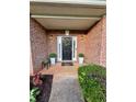 Inviting front door with decorative wreath, flanked by planters and stylish outdoor decor at 3 Tiffany Trce, Palmetto, GA 30268
