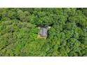 Aerial view of a home surrounded by lush, dense trees, providing privacy and a natural setting at 150 Gill Ln, Stockbridge, GA 30281