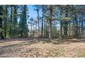 View of the spacious backyard with mature trees, offering privacy and a natural setting at 1887 King Charles Sw Rd, Atlanta, GA 30331