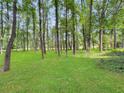 Picture of a large, level backyard featuring lush green grass and mature trees at 10320 Crescent Ridge Dr, Roswell, GA 30076