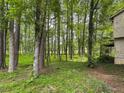A lush backyard offers privacy with its beautiful and mature trees and verdant groundcover at 10320 Crescent Ridge Dr, Roswell, GA 30076