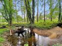 A serene creek winds through the lush backyard with tall trees offering shade and privacy at 10320 Crescent Ridge Dr, Roswell, GA 30076