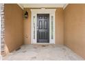 Close-up of a classic black front door with sidelights and stone steps at 2595 Glaramara Ter, Cumming, GA 30041
