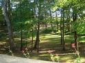 Lush backyard featuring a scenic view of trees and a well-manicured lawn at 6965 Flowery Branch Rd, Cumming, GA 30041