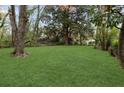 Expansive backyard space with mature trees, offering a serene outdoor setting at 5074 Park Ave, Forest Park, GA 30297