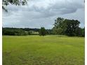 Expansive backyard showcasing a lush green field and serene, natural landscape at 526 Spring Place Ne Rd, White, GA 30184