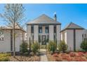 Beautiful exterior showcasing the home's elegant architecture and manicured landscaping at 245 Roycroft Ln, Fayetteville, GA 30214