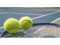 Close up of 2 tennis balls sitting on top of a tennis racket on a blue and green court at 712 Curb Ct, Locust Grove, GA 30248
