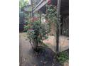 Exterior yard view with red rose bushes with hardscape and deck in background at 206 River Run Dr, Atlanta, GA 30350