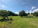 Lush green field with scattered trees under a clear blue sky, highlighting the natural beauty of this land at 3517 Plunkett Road Rd, Stonecrest, GA 30038