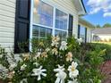Close-up of well-manicured front yard with flowering bushes enhancing the home's charm at 929 Wexford Way, Auburn, GA 30011