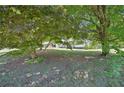 Image of the yard at 3388 Hamilton Mill Rd, Buford, GA 30519