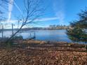 Scenic waterfront view with dock at 85 Lang Cir, Covington, GA 30014