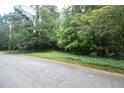 View of lush greenery and a glimpse of lawn extending from property to a quiet street at 1847 Colt Dr, Brookhaven, GA 30341