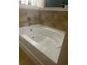 Close-up of bathtub with stone-tile accent surround at 1749 Misselthrush Ln, Mcdonough, GA 30253
