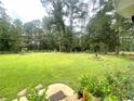 Expansive backyard with lush green grass and privacy trees, perfect for outdoor activities and relaxation at 3750 Dial Mill Ne Rd, Conyers, GA 30013