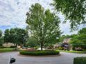 Picturesque cul-de-sac with mature tree, green landscaping, and well-maintained homes at 151 Overhill Point, Alpharetta, GA 30005