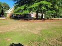 Spacious front yard featuring a large tree and lush green grass at 512 Ollas Walk, Mcdonough, GA 30252