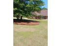 Spacious front yard featuring a large tree and lush green grass at 512 Ollas Walk, Mcdonough, GA 30252