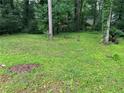 Expansive backyard featuring mature trees and lush greenery at 1681 Sw Hammond Woods Sw Cir, Marietta, GA 30008