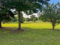 Expansive green lawn backyard with mature trees provides a serene and private setting at 1695 Whitley Rd, Dacula, GA 30019