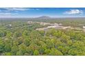 Overhead view of lush greenery with mountain peak in the distance on a clear day at 4698 Fellsridge Dr, Stone Mountain, GA 30083