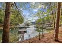 Picturesque waterfront view with docks and boat houses nestled among lush trees, creating a serene and tranquil setting at 3115 Chimney Cove Ln, Cumming, GA 30041