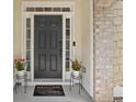 Welcoming front entrance featuring a stylish black door and decorative potted flowers at 3260 Caney Creek Ln, Cumming, GA 30041