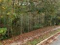 Leaf-covered walking path through a serene and mature tree-filled lot at 1303 Cobblemill Nw Way, Kennesaw, GA 30152