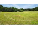 Vast grassy field offers a picturesque view and versatile usage options at 891 Wooten Ct, Canton, GA 30114