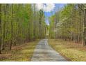 Scenic driveway leading to a private home surrounded by lush greenery at 4286 Pool Rd, Winston, GA 30187