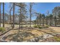 View of front yard with mature trees and decorative landscaping at 13 Cliff Ct, Villa Rica, GA 30180