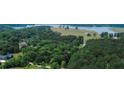 Majestic aerial view showcasing a home bordering a lush forest and lake at 940 Sandy Ford Rd, Social Circle, GA 30025