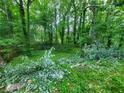View of an overgrown backyard at 1033 Hawk Creek Trl, Lawrenceville, GA 30043