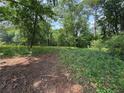 Grassy, treed backyard at 3700 Moore Rd, Austell, GA 30106