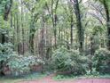 Wooded backyard view showing mature trees and natural landscaping at 219 Park Avenue, Woodstock, GA 30188