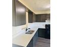 Modern kitchen features sleek gray cabinets, stainless steel appliances, and Quartz countertops at 415 Dove Ln, Social Circle, GA 30025