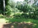 A view of green space with trees and shrubbery at 2900 Hitt Rd, Cumming, GA 30041